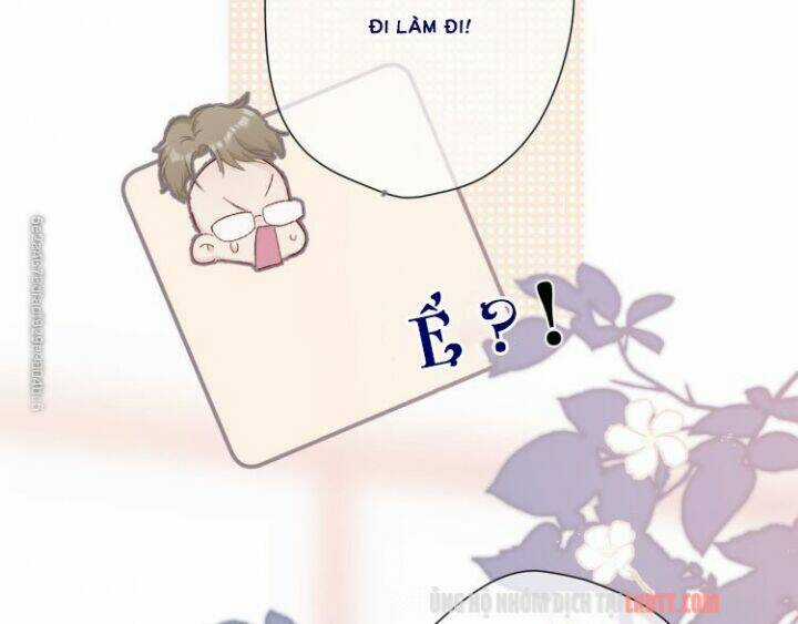 Bảo Vệ Siêu Sao Của Tôi Chapter 60 trang 13