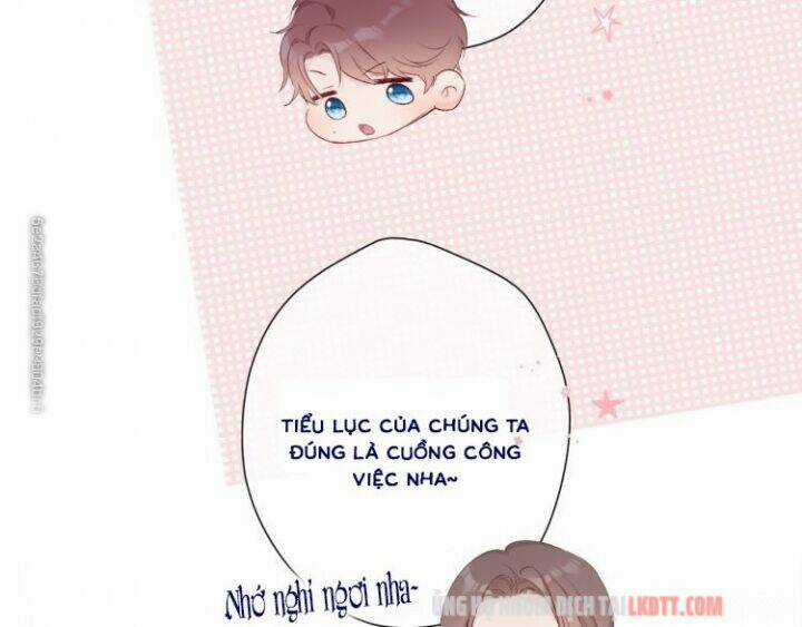 Bảo Vệ Siêu Sao Của Tôi Chapter 60 trang 41