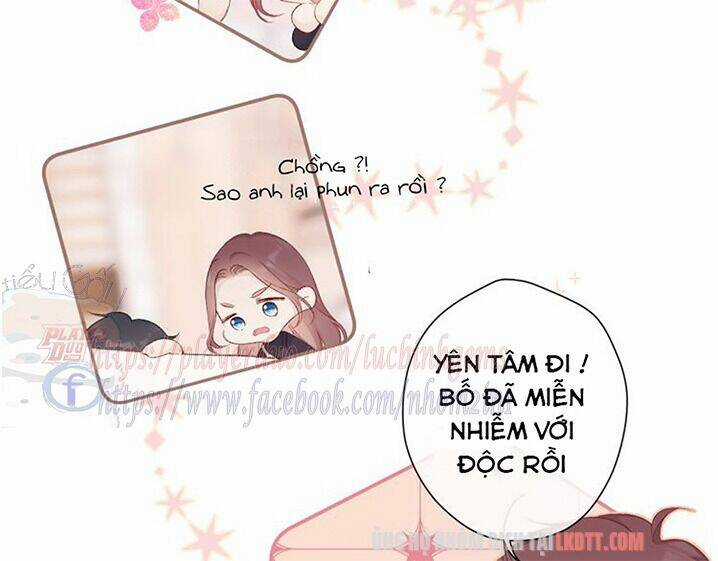 Bảo Vệ Siêu Sao Của Tôi Chapter 61 trang 24