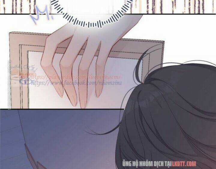 Bảo Vệ Siêu Sao Của Tôi Chapter 62 trang 16