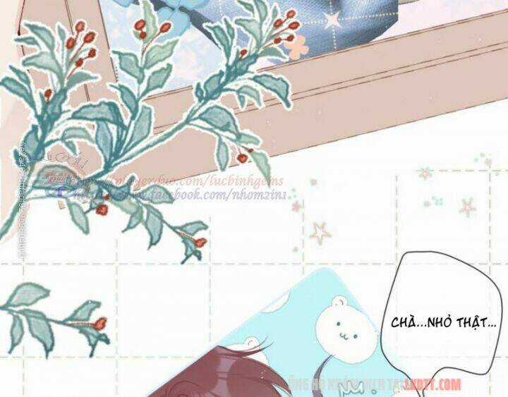 Bảo Vệ Siêu Sao Của Tôi Chapter 62 trang 39