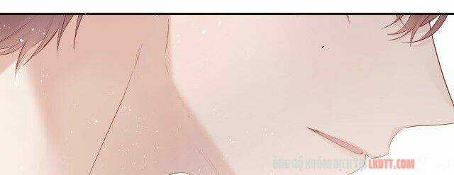 Bảo Vệ Siêu Sao Của Tôi Chapter 62 trang 45