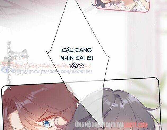 Bảo Vệ Siêu Sao Của Tôi Chapter 63 trang 11