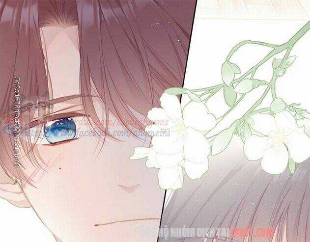 Bảo Vệ Siêu Sao Của Tôi Chapter 63 trang 30