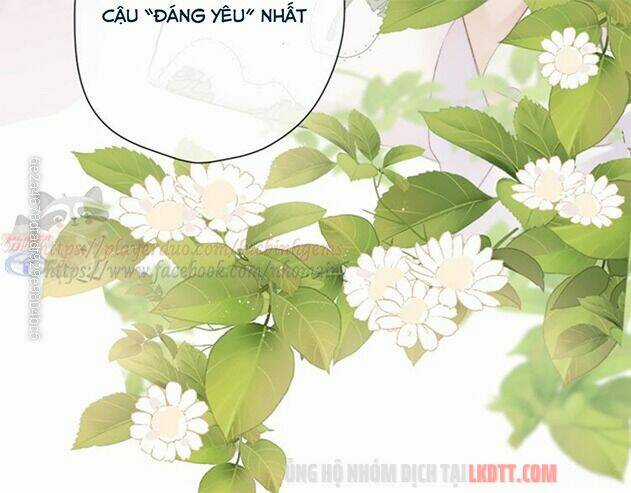 Bảo Vệ Siêu Sao Của Tôi Chapter 63 trang 35