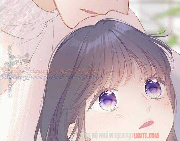 Bảo Vệ Siêu Sao Của Tôi Chapter 63 trang 4