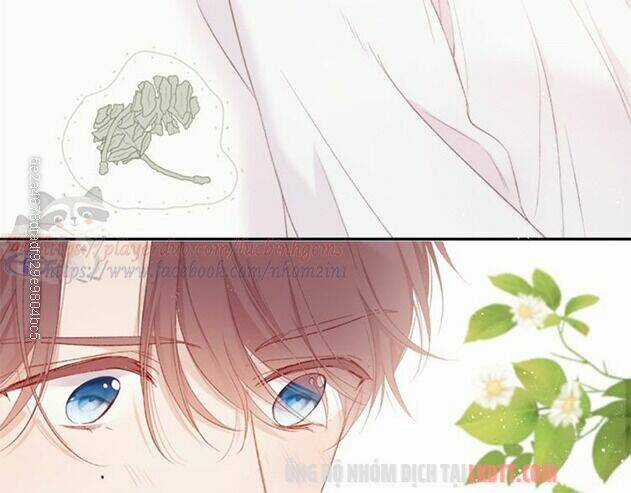 Bảo Vệ Siêu Sao Của Tôi Chapter 63 trang 6