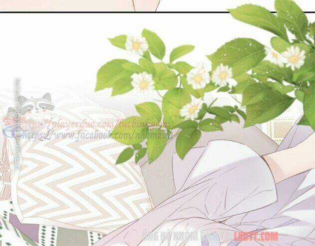 Bảo Vệ Siêu Sao Của Tôi Chapter 63 trang 7