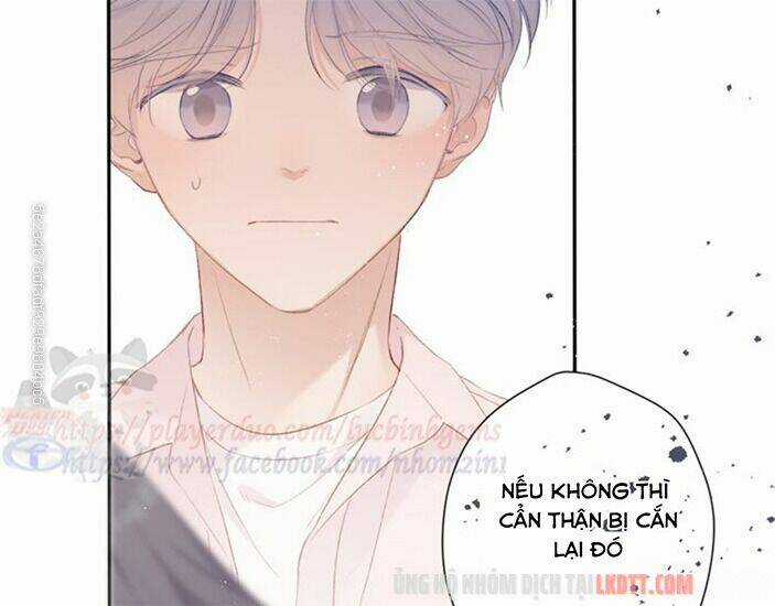 Bảo Vệ Siêu Sao Của Tôi Chapter 64 trang 59