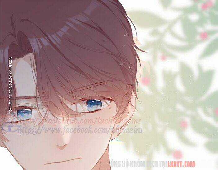 Bảo Vệ Siêu Sao Của Tôi Chapter 65 trang 14