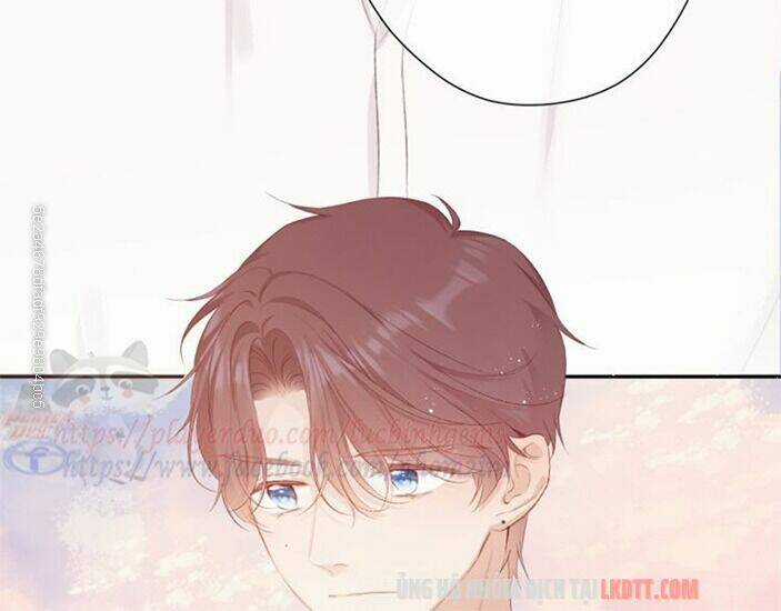 Bảo Vệ Siêu Sao Của Tôi Chapter 65 trang 4