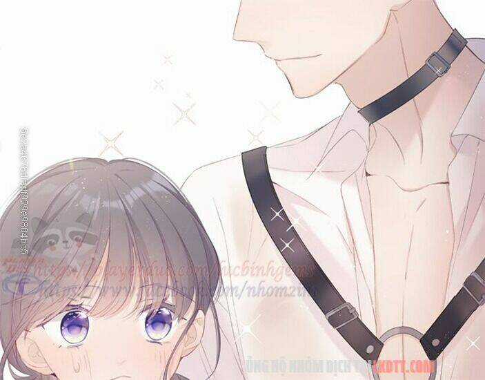 Bảo Vệ Siêu Sao Của Tôi Chapter 65 trang 43