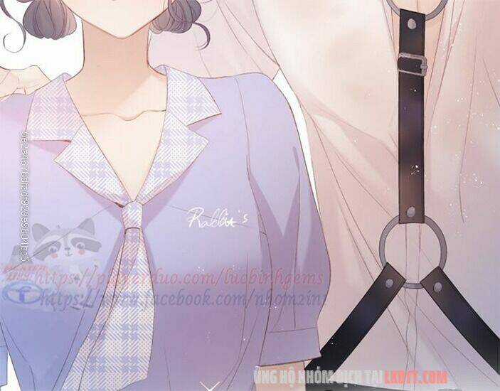 Bảo Vệ Siêu Sao Của Tôi Chapter 65 trang 44