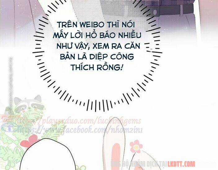 Bảo Vệ Siêu Sao Của Tôi Chapter 65 trang 49