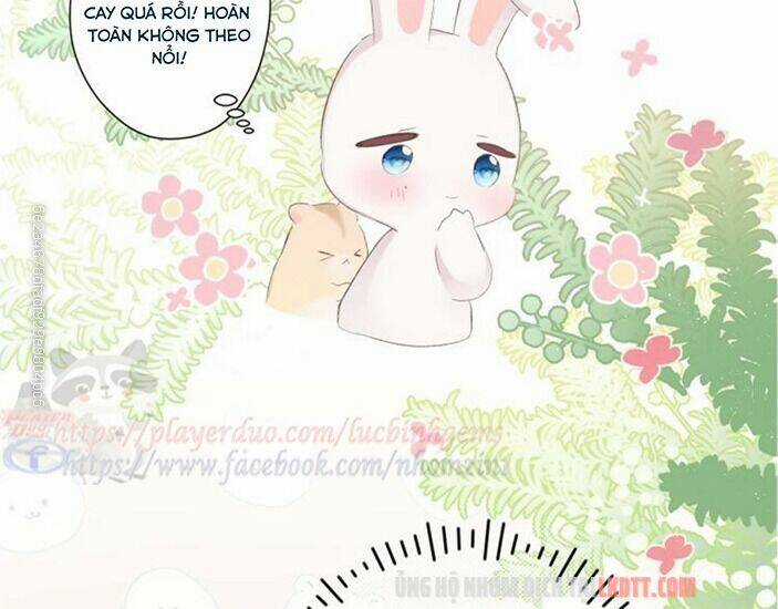 Bảo Vệ Siêu Sao Của Tôi Chapter 65 trang 50