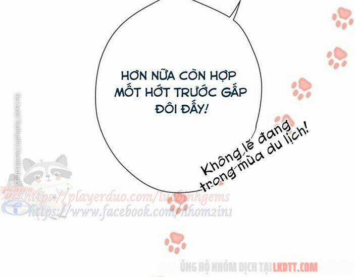 Bảo Vệ Siêu Sao Của Tôi Chapter 65 trang 55