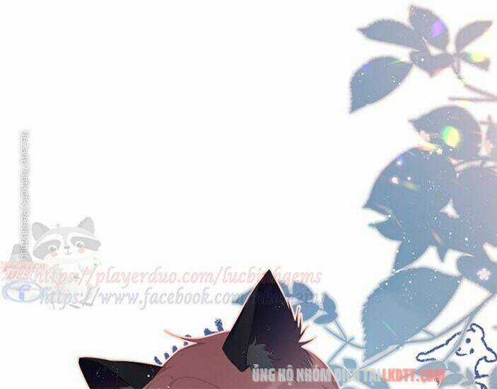 Bảo Vệ Siêu Sao Của Tôi Chapter 65 trang 62