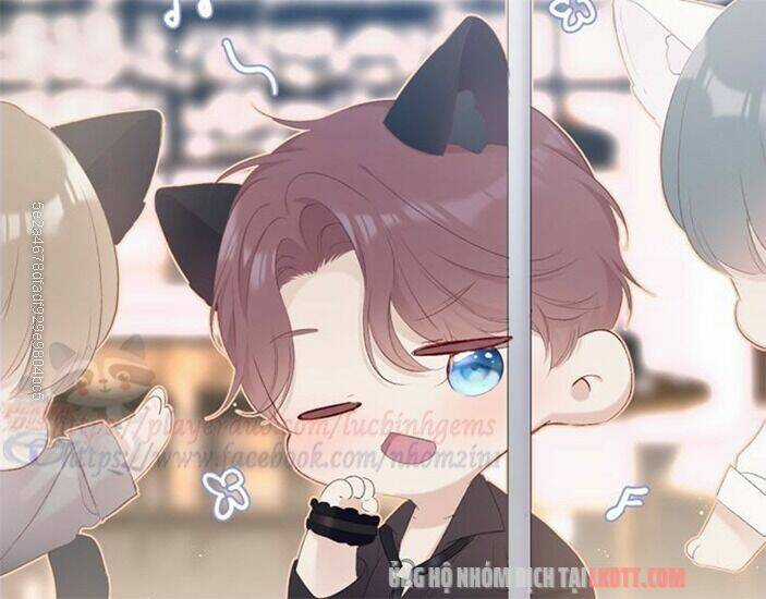 Bảo Vệ Siêu Sao Của Tôi Chapter 65 trang 71