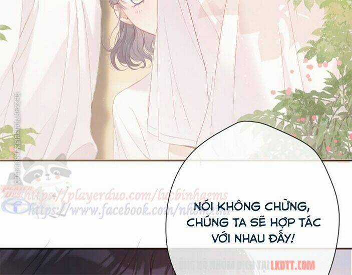 Bảo Vệ Siêu Sao Của Tôi Chapter 65 trang 9