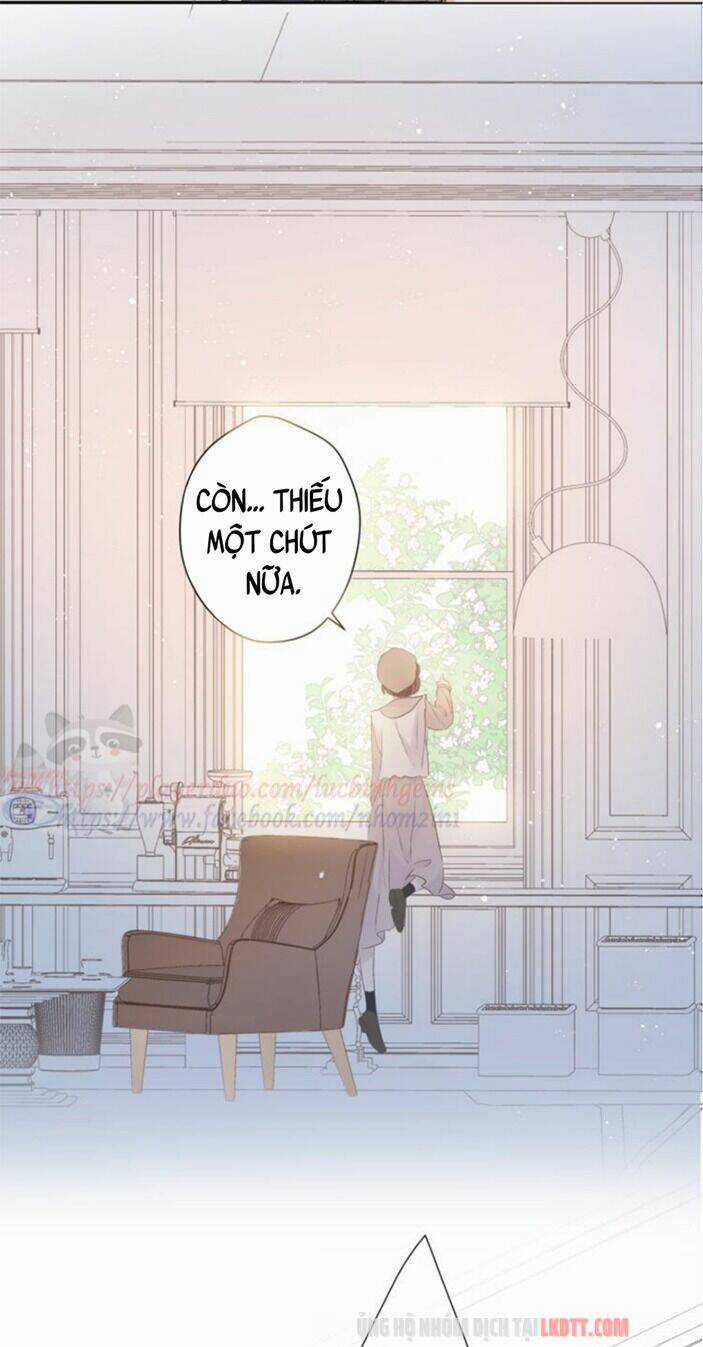 Bảo Vệ Siêu Sao Của Tôi Chapter 66 trang 11