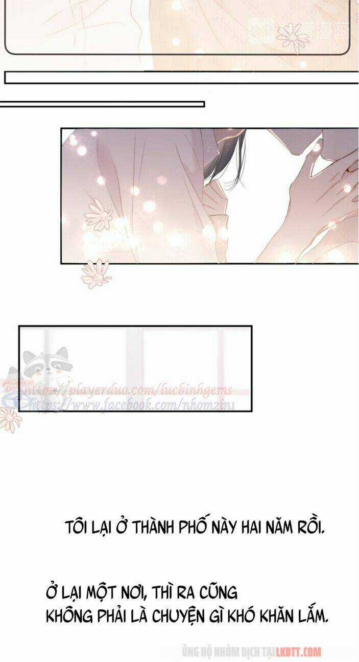 Bảo Vệ Siêu Sao Của Tôi Chapter 66 trang 31