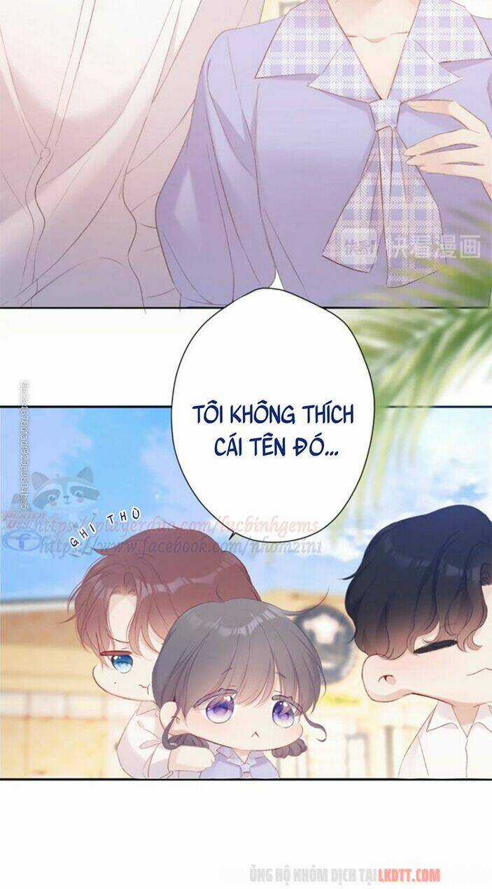 Bảo Vệ Siêu Sao Của Tôi Chapter 67 trang 14