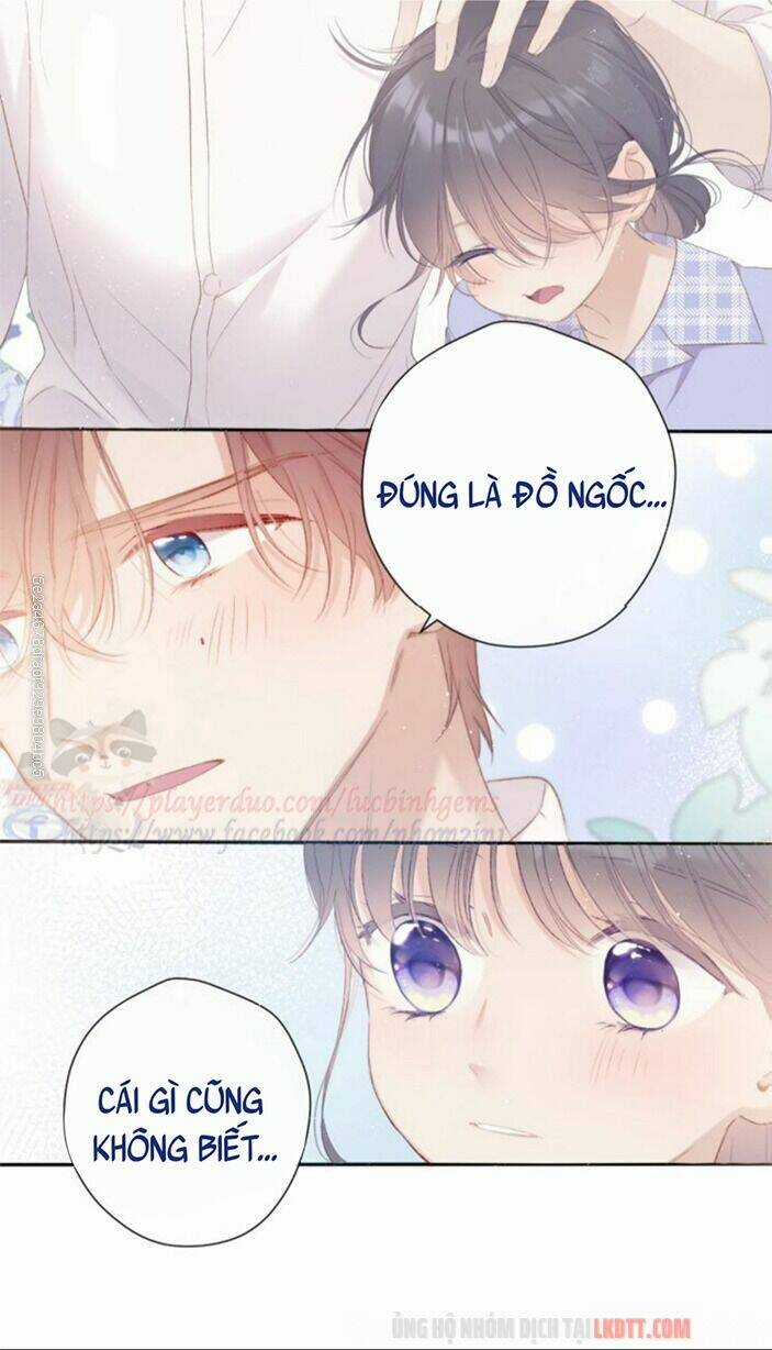 Bảo Vệ Siêu Sao Của Tôi Chapter 67 trang 19