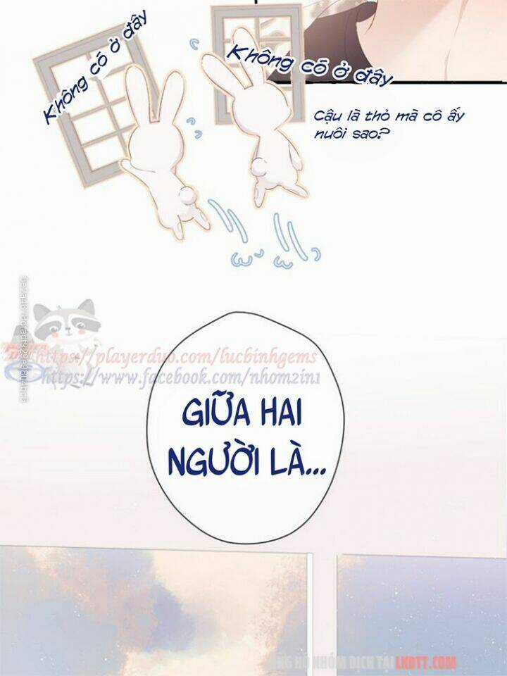 Bảo Vệ Siêu Sao Của Tôi Chapter 68 trang 13