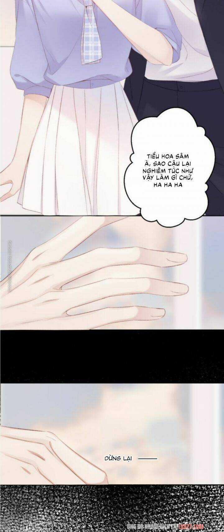 Bảo Vệ Siêu Sao Của Tôi Chapter 69 trang 2