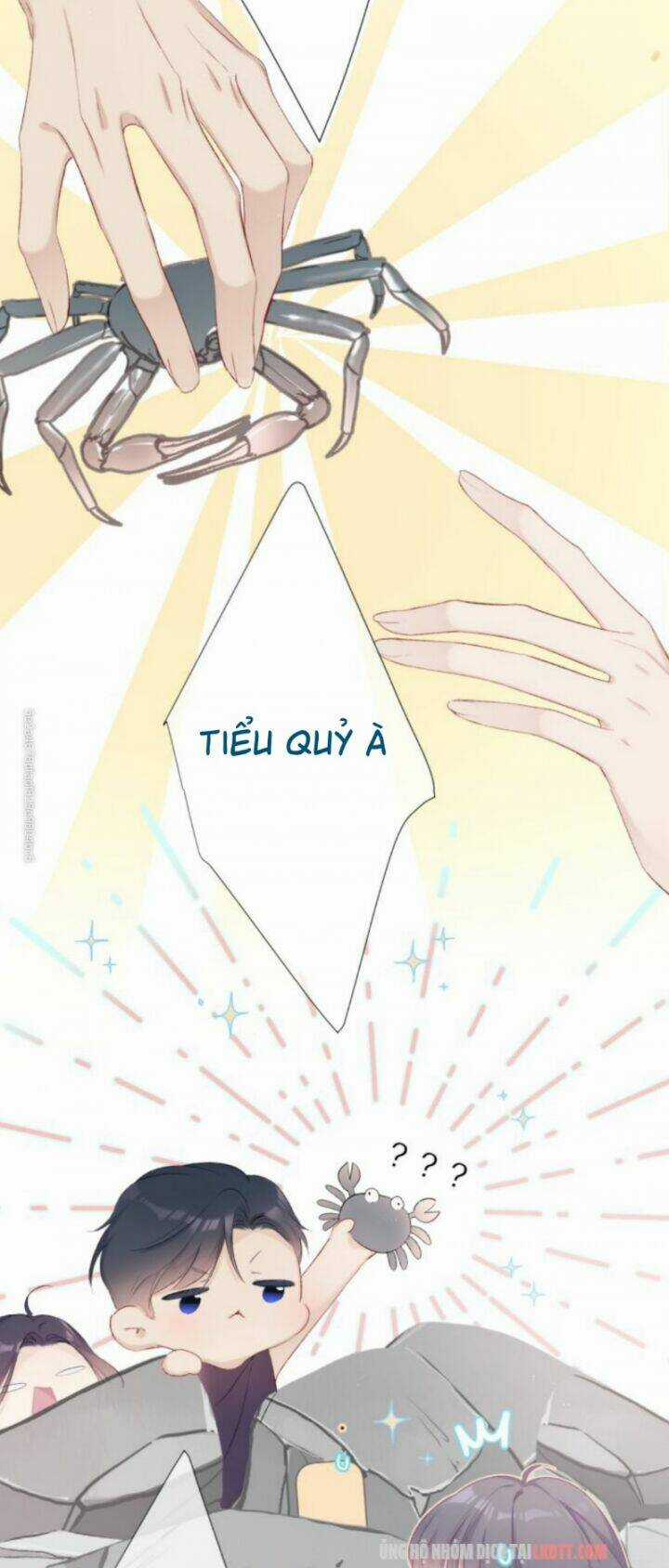 Bảo Vệ Siêu Sao Của Tôi Chapter 69 trang 24