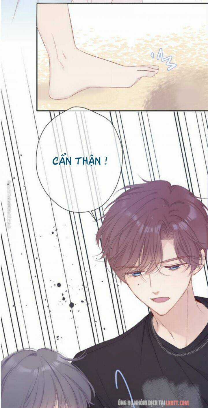 Bảo Vệ Siêu Sao Của Tôi Chapter 69 trang 37