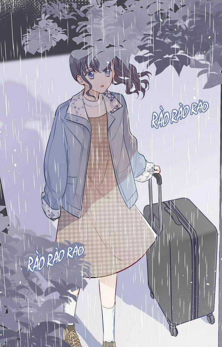 Bảo Vệ Siêu Sao Của Tôi Chapter 7 trang 12