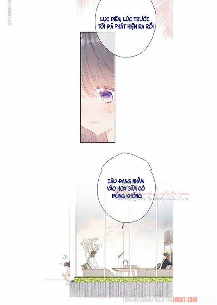 Bảo Vệ Siêu Sao Của Tôi Chapter 70 trang 8