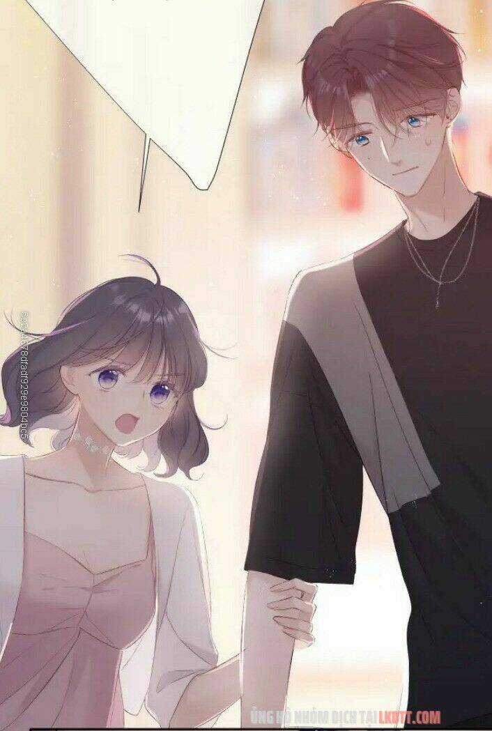 Bảo Vệ Siêu Sao Của Tôi Chapter 71 trang 11