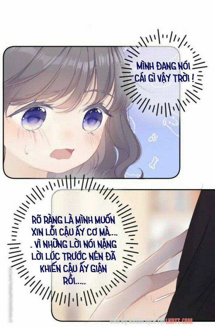 Bảo Vệ Siêu Sao Của Tôi Chapter 71 trang 15