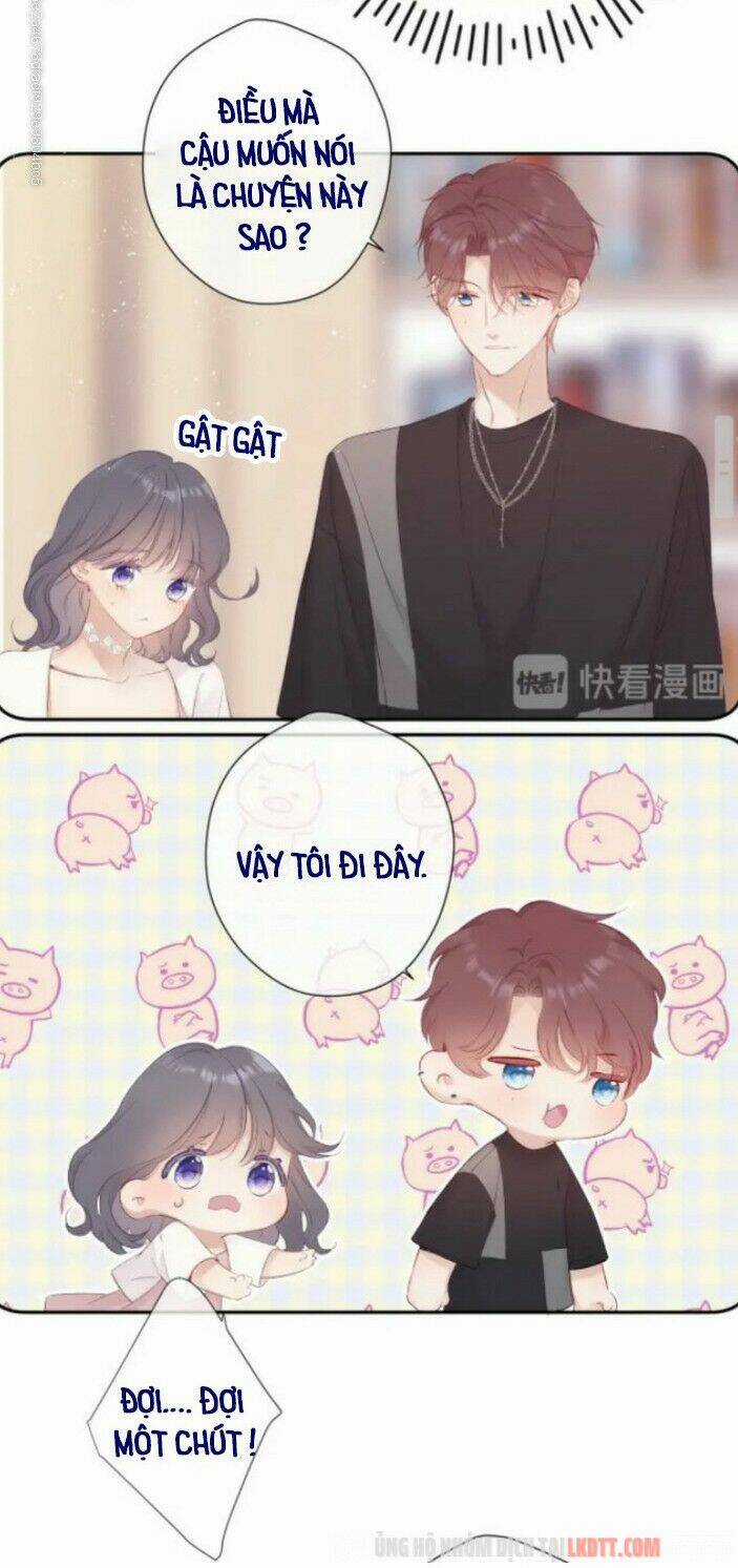 Bảo Vệ Siêu Sao Của Tôi Chapter 71 trang 18