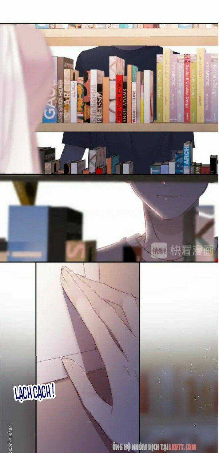 Bảo Vệ Siêu Sao Của Tôi Chapter 71 trang 24