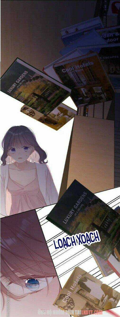 Bảo Vệ Siêu Sao Của Tôi Chapter 71 trang 26