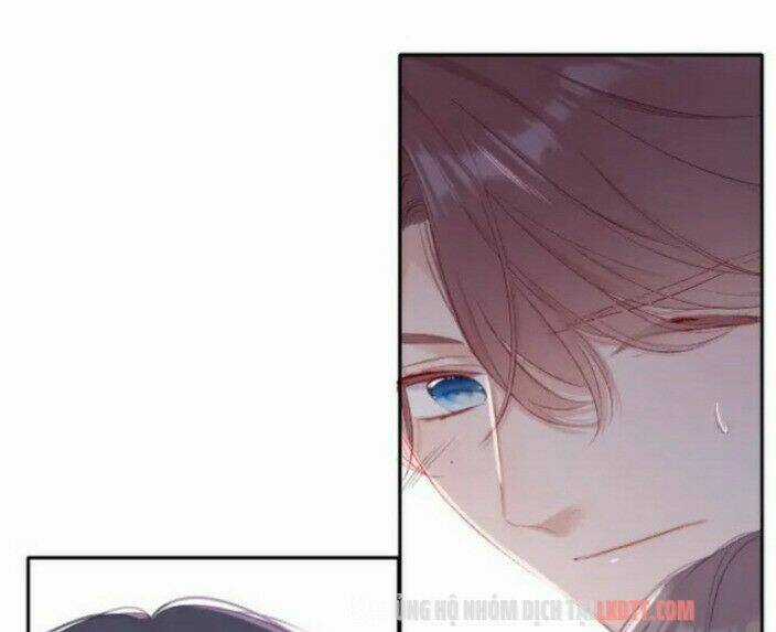 Bảo Vệ Siêu Sao Của Tôi Chapter 71 trang 28