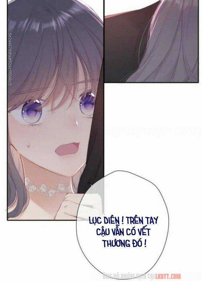 Bảo Vệ Siêu Sao Của Tôi Chapter 71 trang 29