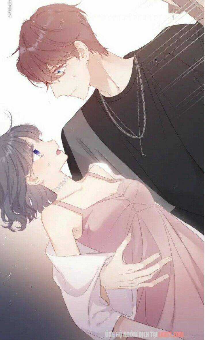 Bảo Vệ Siêu Sao Của Tôi Chapter 71 trang 3