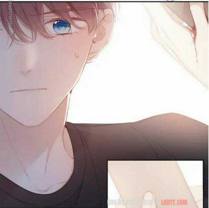 Bảo Vệ Siêu Sao Của Tôi Chapter 71 trang 5