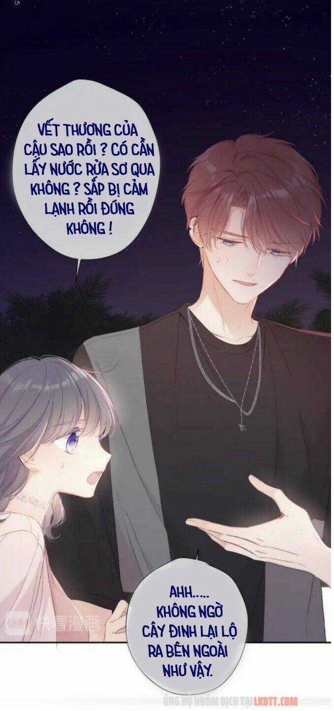 Bảo Vệ Siêu Sao Của Tôi Chapter 71 trang 7