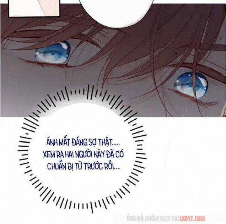 Bảo Vệ Siêu Sao Của Tôi Chapter 72 trang 22