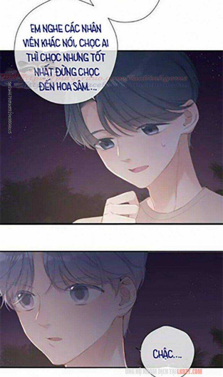 Bảo Vệ Siêu Sao Của Tôi Chapter 72 trang 24