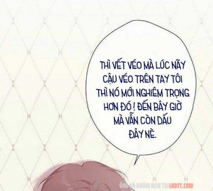 Bảo Vệ Siêu Sao Của Tôi Chapter 72 trang 41