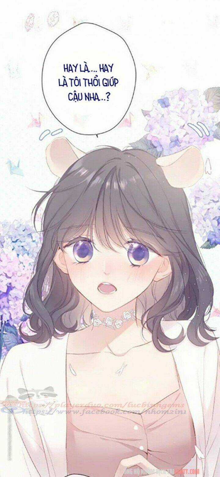 Bảo Vệ Siêu Sao Của Tôi Chapter 72 trang 44