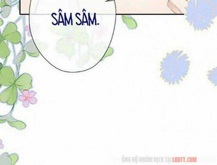 Bảo Vệ Siêu Sao Của Tôi Chapter 72 trang 52