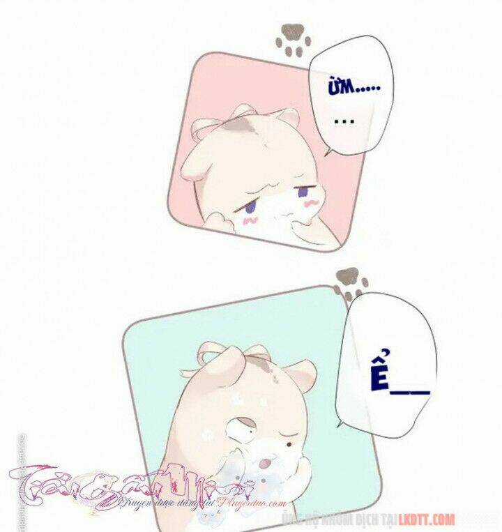 Bảo Vệ Siêu Sao Của Tôi Chapter 73 trang 22