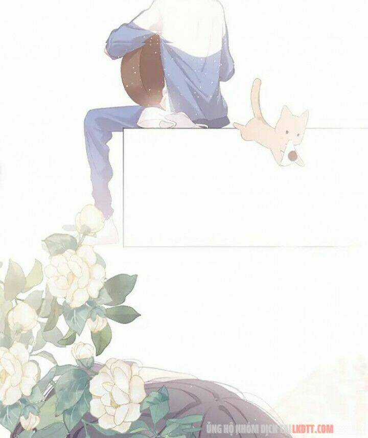 Bảo Vệ Siêu Sao Của Tôi Chapter 73 trang 34